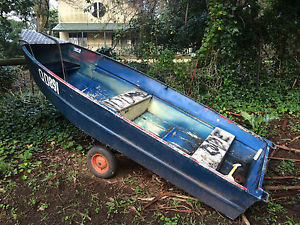 11.5ft TINNY WITH 6HP MERCURY OUTBOARD