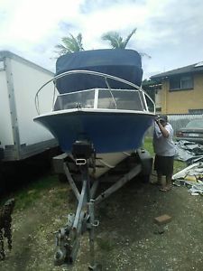 18.9ft boat with 120 johnson vro
