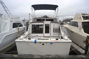 Chris Craft