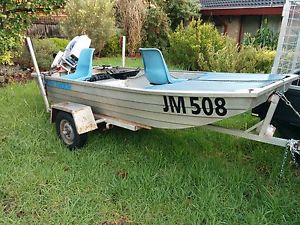 Tinnie 10ft flat bottom fishing boat duck punt