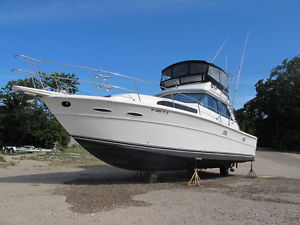 1983 Sea Ray 390 Sedan Bridge