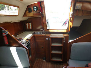 Trapper T30 Cruiser Racer
