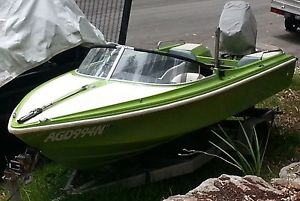 Savage Electra 15ft speed boat 150hp johnson outboard. runabout ski wake