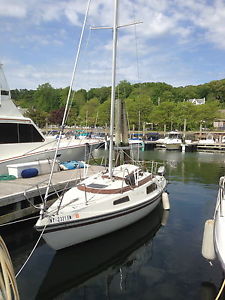 1984 Sonic Masthead Sloop