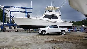 1989 Viking