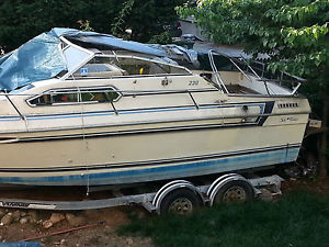 1984 Sunrunner