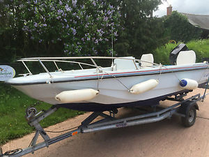 DELL DORY 15 EUROSPORT SPORTS BOAT FISHING BOAT 70 HP CRUISER EVINRUDE OUTBOARD