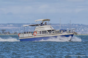 Bertram 35 Ex Pilot boat
