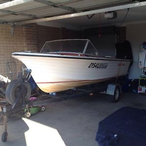 15ft Boat 115 jhonson outboard.