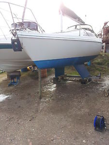 Hunter Horizon 26
