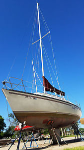 1984 Hunter