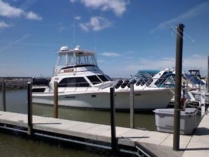1982 Ocean Sunliner
