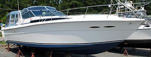 1989 Sea Ray 390