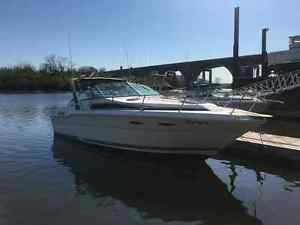 1989 Sea Ray Sundancer
