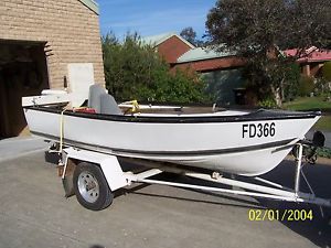 12 foot tinny in good condition