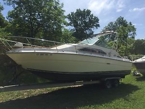 1982 Sea Ray 260 Express Cruiser