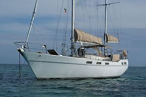 1984 Wauquiez Amphitrite