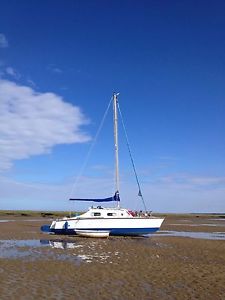 catamaran sailing cruiser