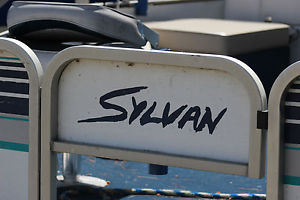 1991 20 ft Sylan Pontoon Boat $2600.00