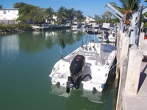 2008 Seafox 236 cc