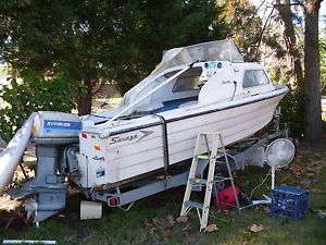 Savage "Pacific" 17ft.Half Cabin Fiberglass Boat, Trailer & 115HP V4 Evinrude.