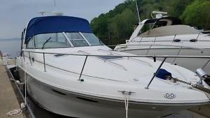 2000 Sea Ray 310