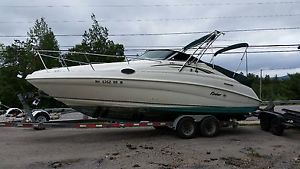 1999 Rinker