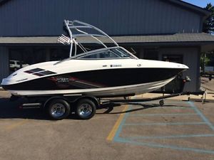 2009 Yamaha AR210