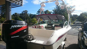 sea ray fish / ski boat / wakeboard  tower / 16.5ft