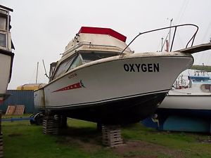 28' Bertram Cobia flybridge cruiser fishing boat project