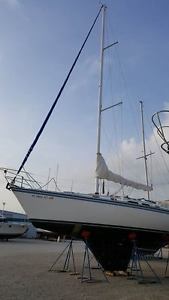 1983 Hunter