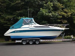 1989 Wellcraft Antigua