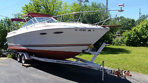 1989 Sea Ray Amberjack