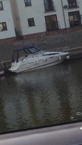 Bayliner 2455