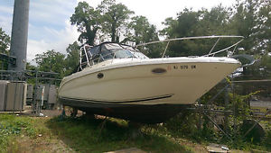 2004 Sea Ray amberjack
