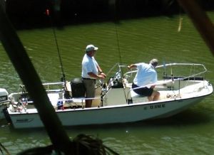 1978 Boston Whaler Montauk 17