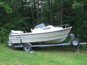 1998 Arima Sea Ranger 17