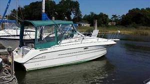 Larson Cabrio 25 ft cruiser - 1995