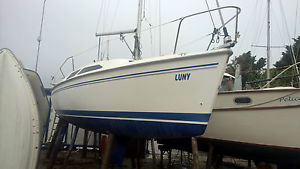 Catalina 250, 2006, Sailing Yacht