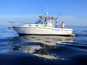 2002 Stamas 340 Express