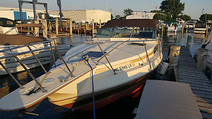 1985 Sun  Runner 310