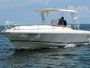 1994 Intrepid