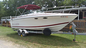 1989 Four Winns 235 Sundowner