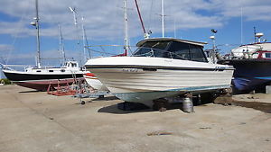 Fishing/leisure boat