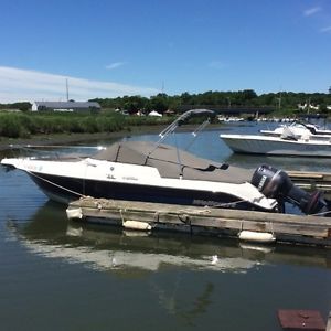 2006 Wellcraft Sportsman 220