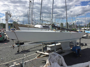 1984 Lillia Star
