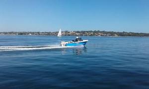 Bertram 4.5m with 60HP Johnson outboard motor