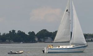 1984 Seidelmann