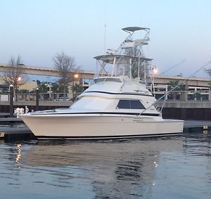 1988 bertram convertible