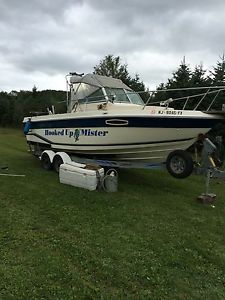 1990 Seaswirl Striper